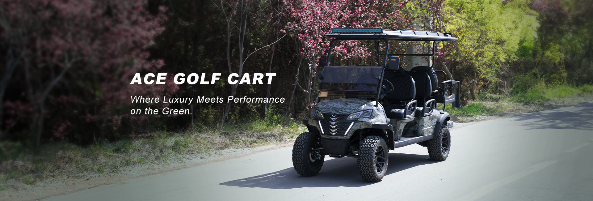 Qualité Chariot de golf électrique usine